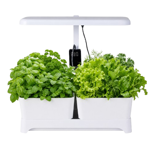 Verdi Dual