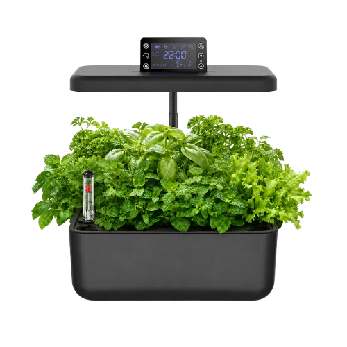 Verdi Smart